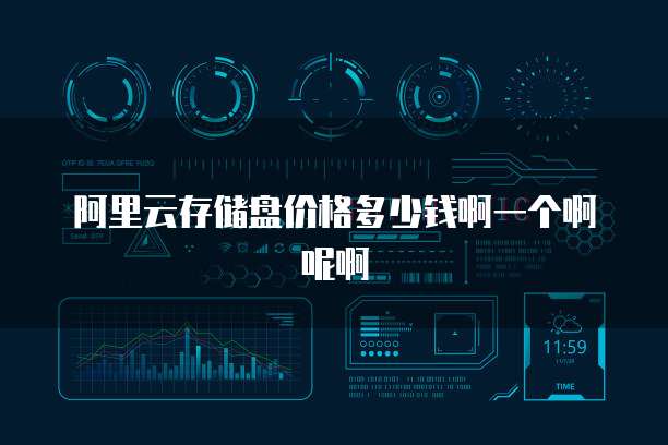 阿里云存储盘价格多少钱啊一个啊呢啊