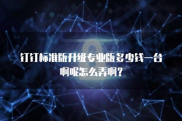 钉钉标准版升级专业版多少钱一台啊呢怎么弄啊？
