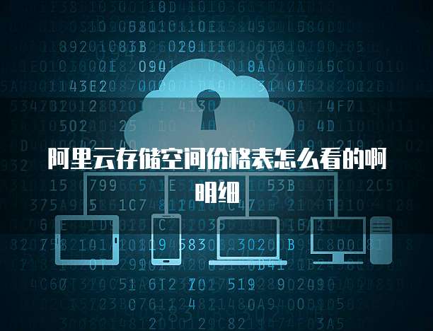 阿里云存储空间价格表怎么看的啊明细