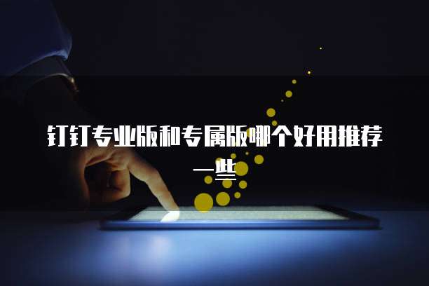 钉钉专业版和专属版哪个好用推荐一些