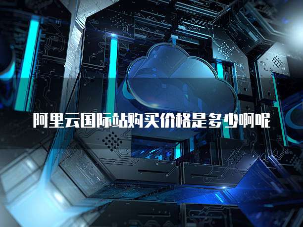 阿里云国际站购买价格是多少啊呢