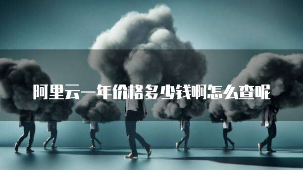 阿里云一年价格多少钱啊怎么查呢