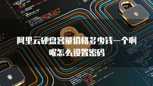 阿里云硬盘容量价格多少钱一个啊呢怎么设置密码