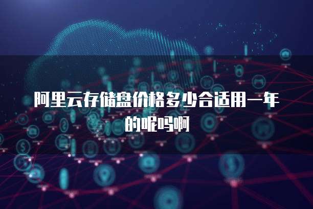 阿里云存储盘价格多少合适用一年的呢吗啊