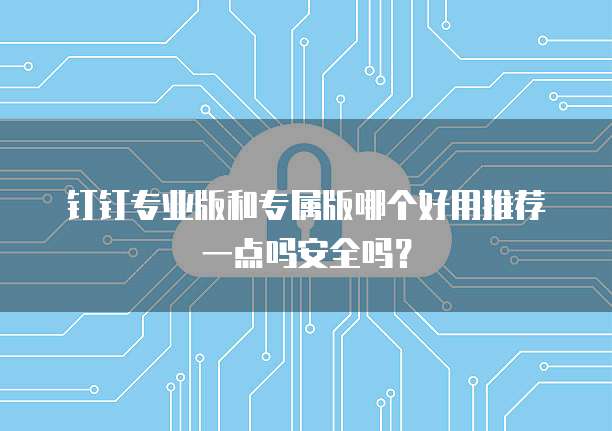钉钉专业版和专属版哪个好用推荐一点吗安全吗?