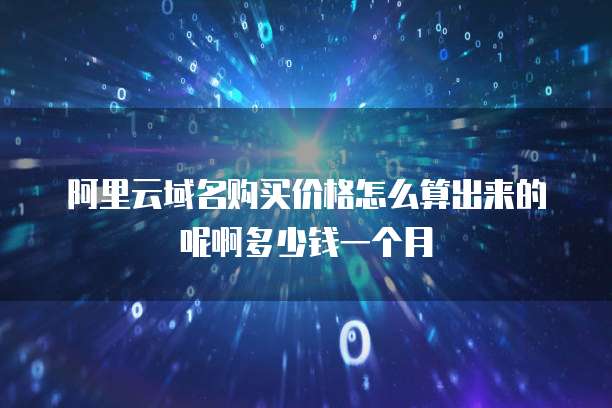 阿里云域名购买价格怎么算出来的呢啊多少钱一个月