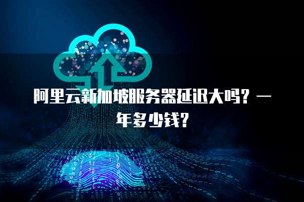 阿里云新加坡服务器延迟大吗?一年多少钱?