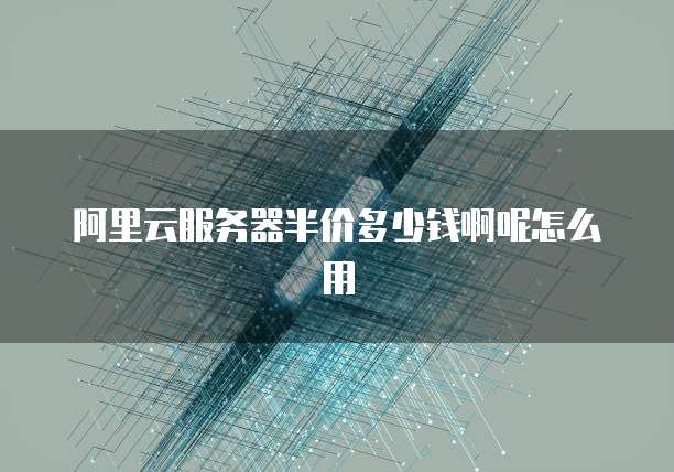 阿里云服务器半价多少钱啊呢怎么用