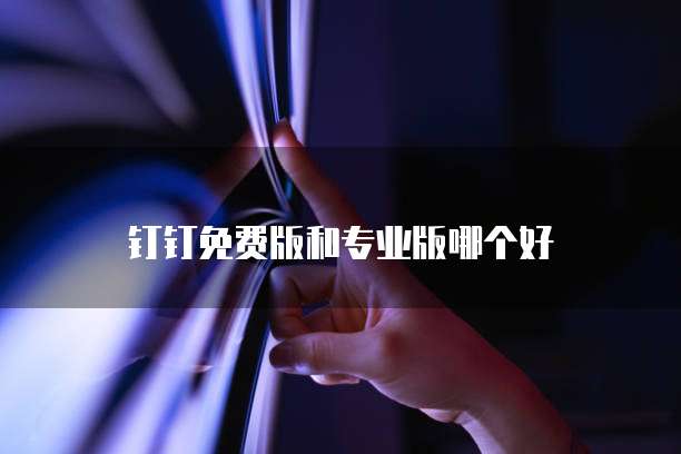 钉钉免费版和专业版哪个好