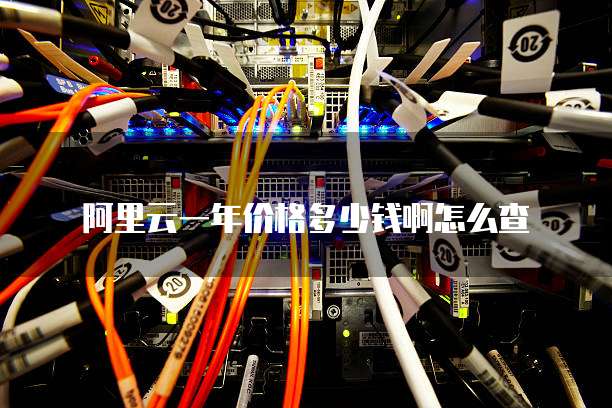 阿里云一年价格多少钱啊怎么查