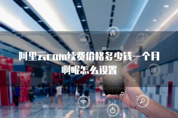 阿里云com续费价格多少钱一个月啊呢怎么设置