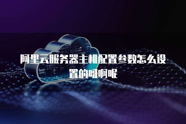 阿里云服务器主机配置参数怎么设置的呀啊呢