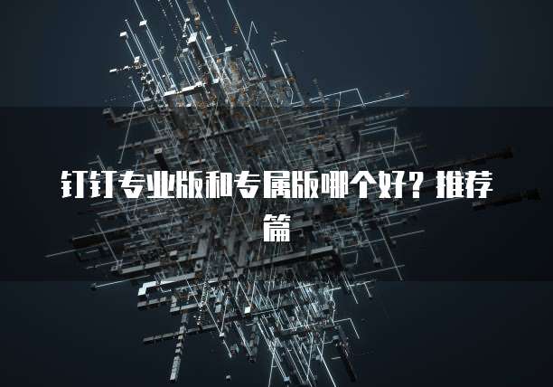 钉钉专业版和专属版哪个好?推荐篇