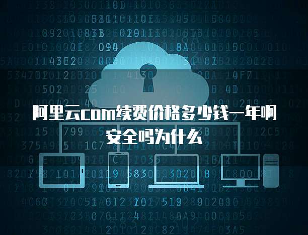 阿里云com续费价格多少钱一年啊安全吗为什么
