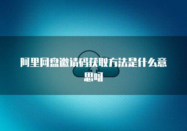 阿里云网盘前缀格式怎么输入不了资源?