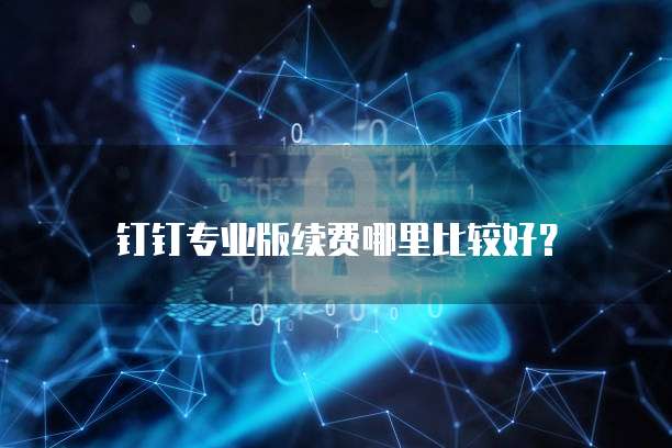 钉钉专业版续费哪里比较好?