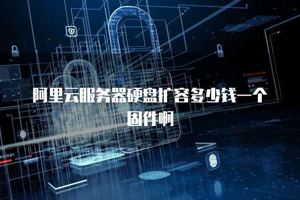 阿里云服务器硬盘扩容多少钱一个固件啊