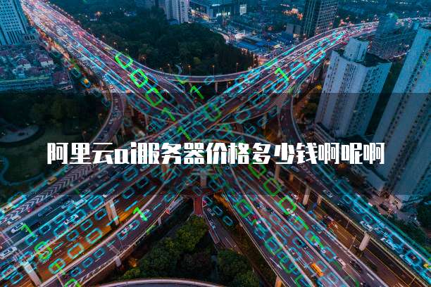 阿里云ai服务器价格多少钱啊呢啊
