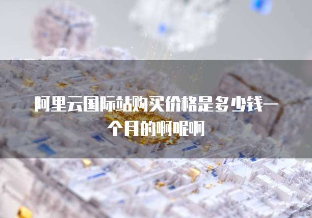 阿里云国际站购买价格是多少钱一个月的啊呢啊