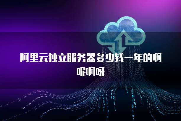 阿里云独立服务器多少钱一年的啊呢啊呀
