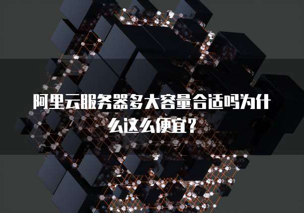 阿里云服务器多大容量合适吗为什么这么便宜?