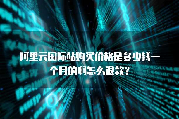 阿里云国际站购买价格是多少钱一个月的啊怎么退款?