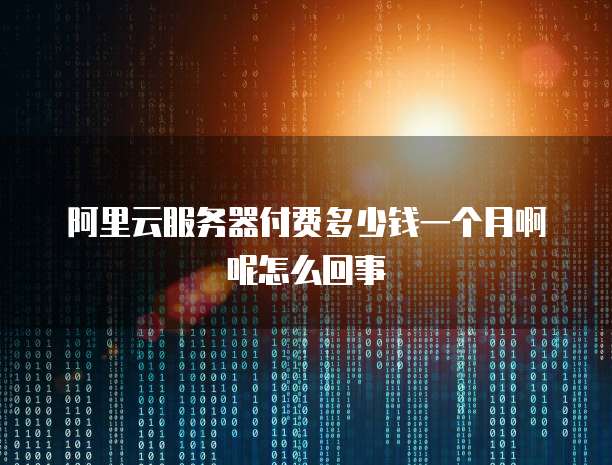 阿里云服务器付费多少钱一个月啊呢怎么回事
