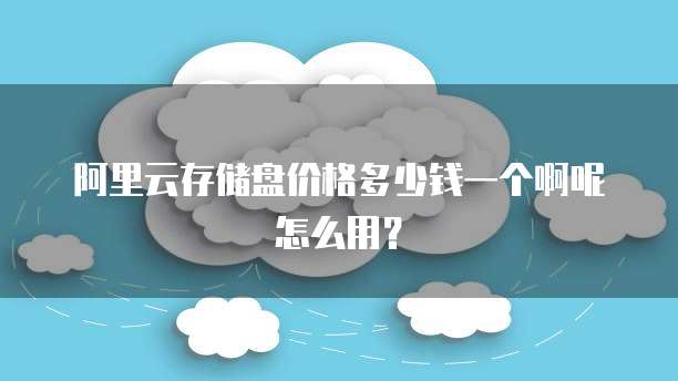 阿里云存储盘价格多少钱一个啊呢怎么用?