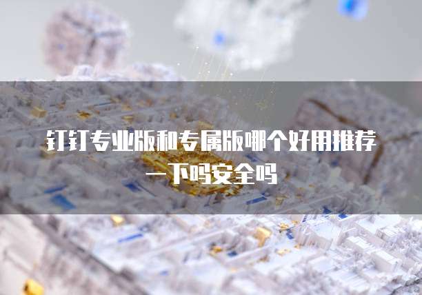 钉钉专业版和专属版哪个好用推荐一下吗安全吗