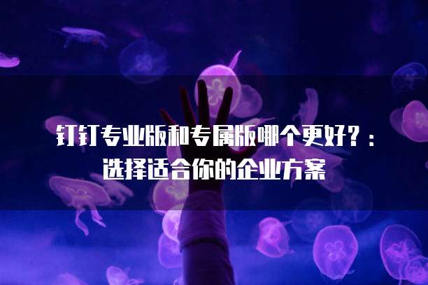 钉钉专业版和专属版哪个更好？：选择适合你的企业方案