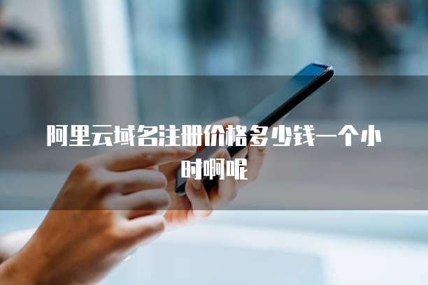 阿里云域名注册价格多少钱一个小时啊呢