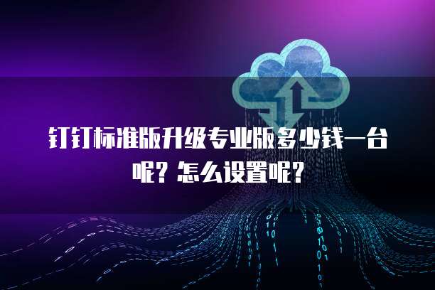 钉钉标准版升级专业版多少钱一台呢？怎么设置呢？