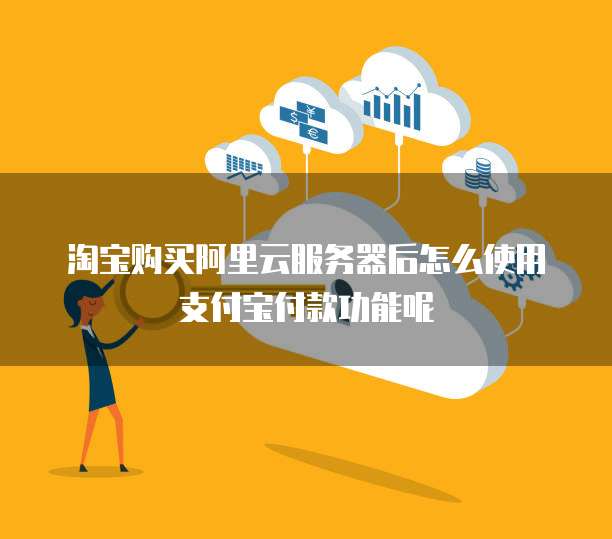 淘宝购买阿里云服务器后怎么使用支付宝付款功能呢
