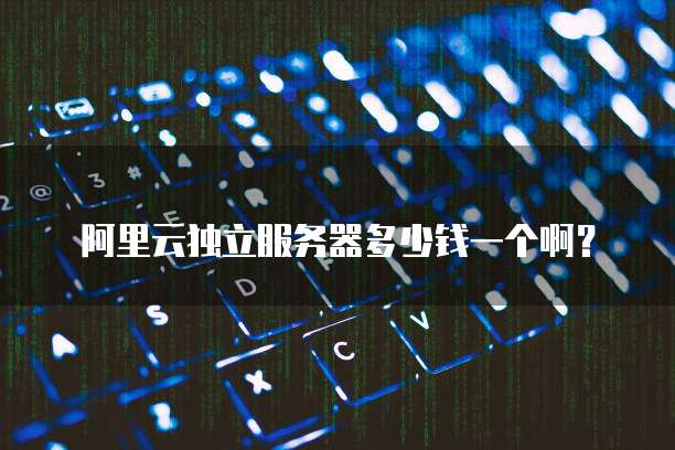 阿里云独立服务器多少钱一个啊?