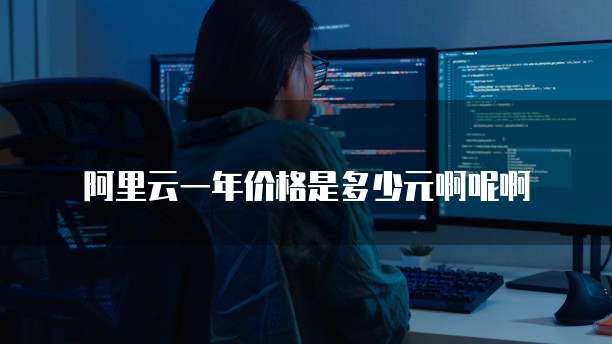阿里云一年价格是多少元啊呢啊