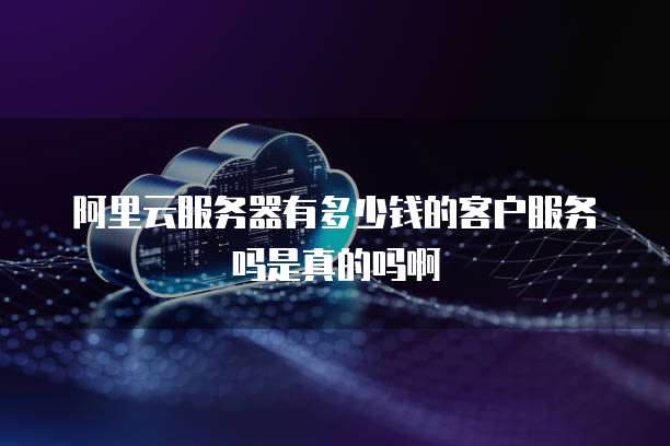 阿里云服务器有多少钱的客户服务吗是真的吗啊