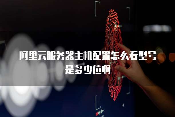 阿里云服务器主机配置怎么看型号是多少位啊