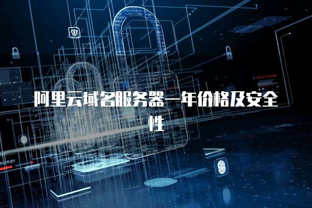 阿里云域名服务器一年价格及安全性