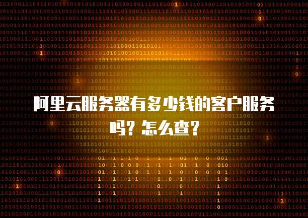 阿里云服务器有多少钱的客户服务吗?怎么查?