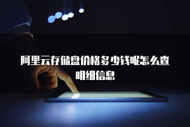 阿里云存储盘价格多少钱呢怎么查明细信息