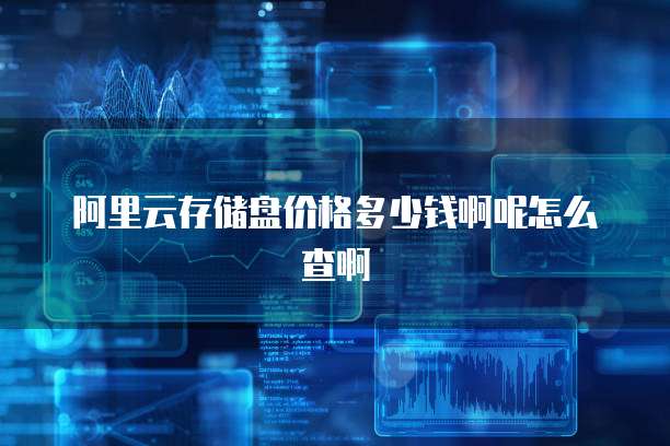 阿里云存储盘价格多少钱啊呢怎么查啊