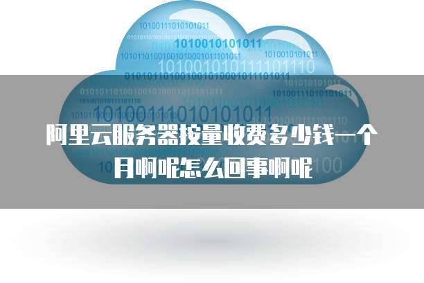 阿里云服务器按量收费多少钱一个月啊呢怎么回事啊呢