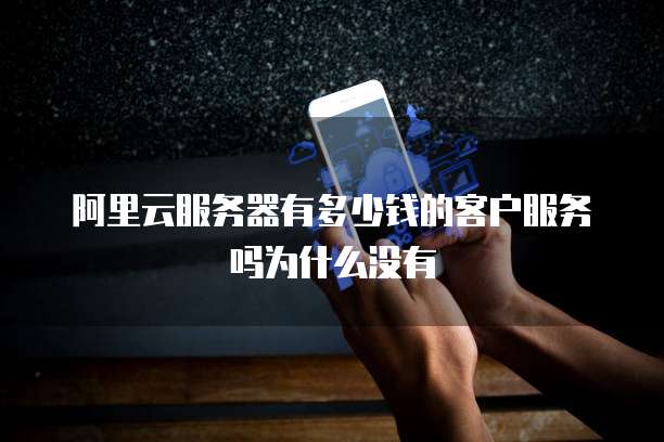 阿里云服务器有多少钱的客户服务吗为什么没有