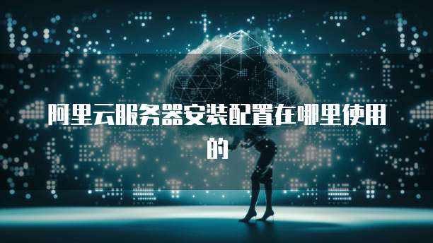 阿里云服务器安装配置在哪里使用的