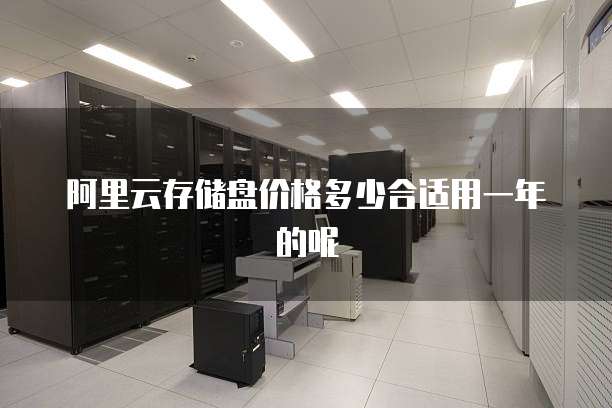 阿里云存储盘价格多少合适用一年的呢