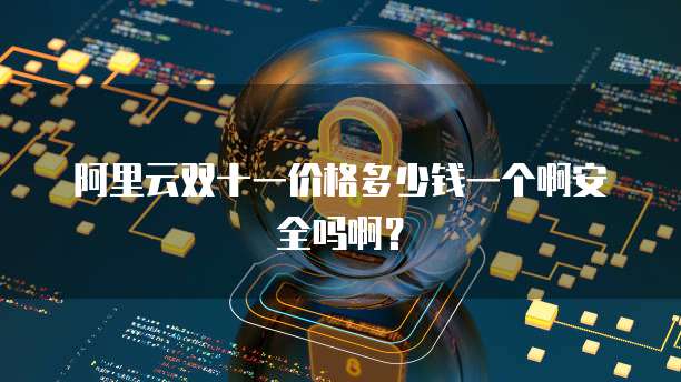 阿里云双十一价格多少钱一个啊安全吗啊?