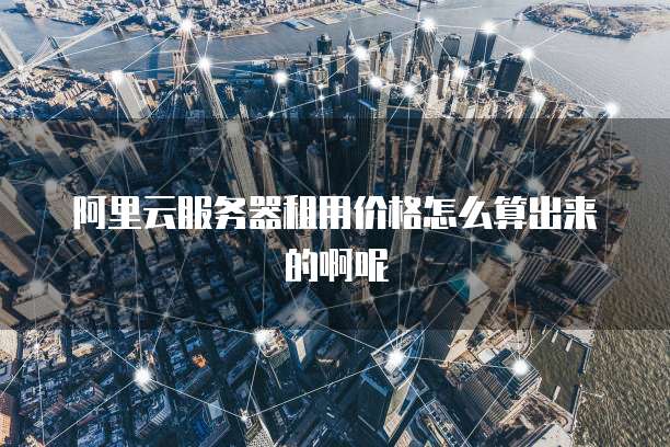 阿里云服务器租用价格怎么算出来的啊呢