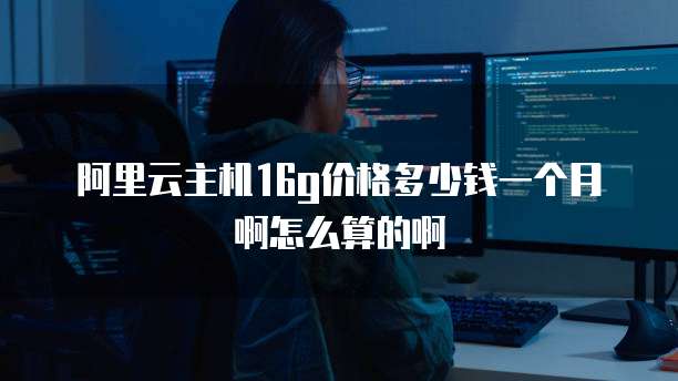 阿里云主机16g价格多少钱一个月啊怎么算的啊