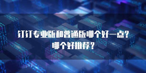 钉钉专业版和普通版哪个好一点?哪个好推荐?