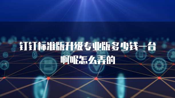 钉钉标准版升级专业版多少钱一台啊呢怎么弄的